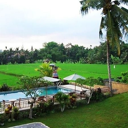 Nyoman Karsa Bungalow Ubud Exteriér fotografie